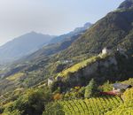 Escursioni in montagna